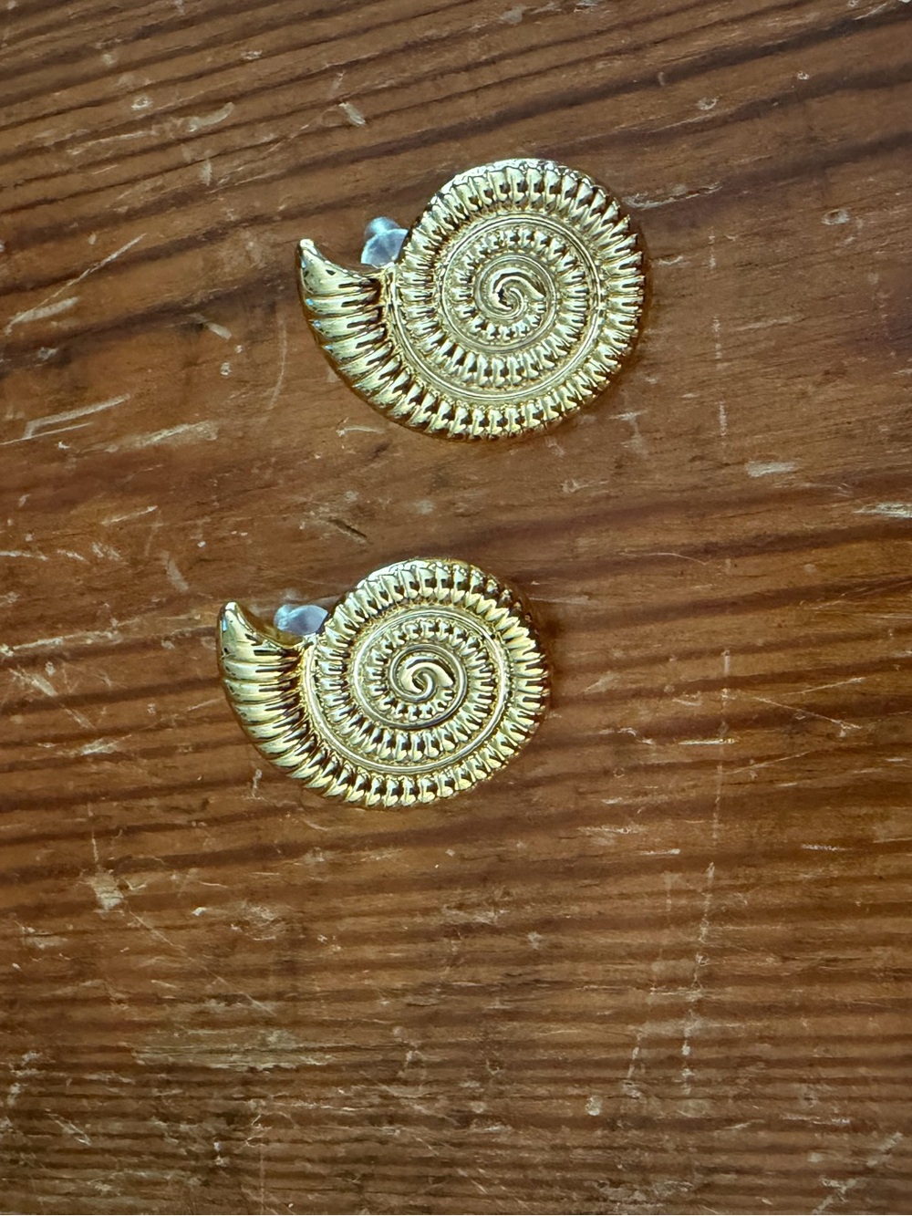 Gold Spiral Shell Stud Earrings - Women Jewelry
